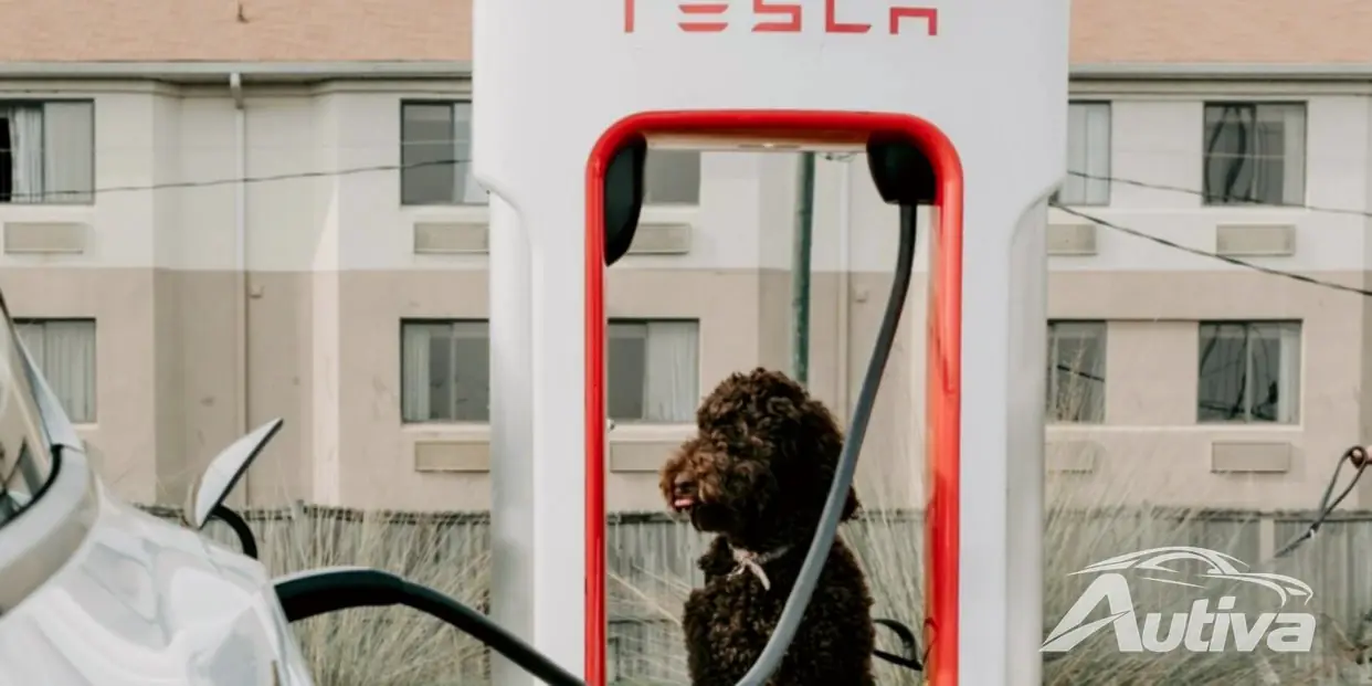 Niet-Tesla-rijders worden geconfronteerd met grofweg 35% hogere Supercharger-kosten, tenzij ze kiezen voor een maandabonnement