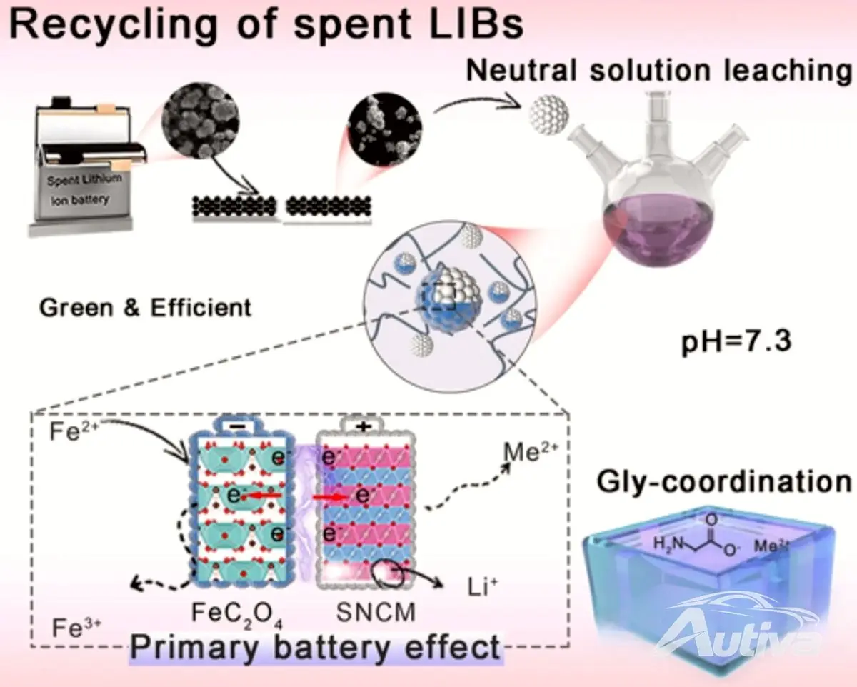 Une nouvelle avancée promet un recyclage presque parfait des batteries des véhicules électriques Une nouvelle avancée promet un recyclage presque parfait des batteries des véhicules électriques