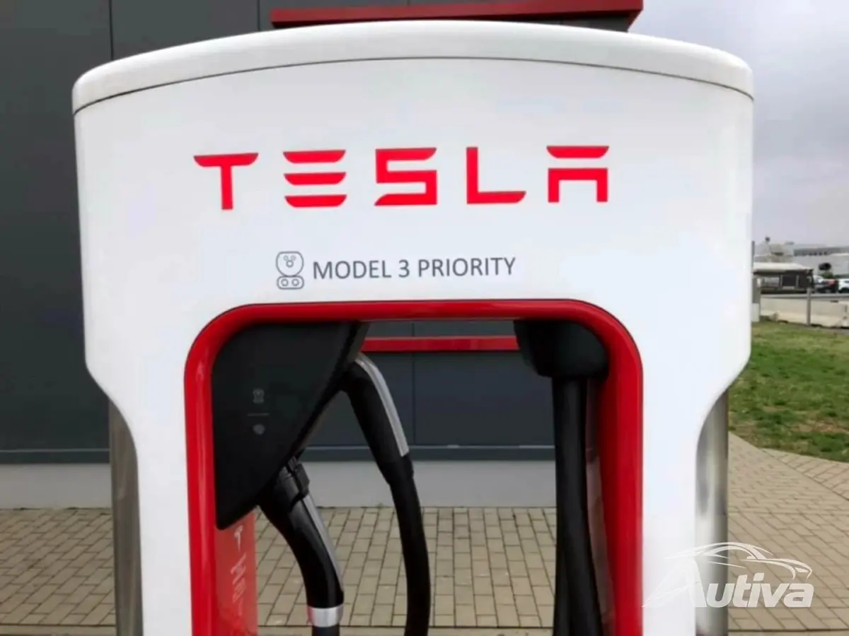 European Dual Supercharger European Dual Supercharger