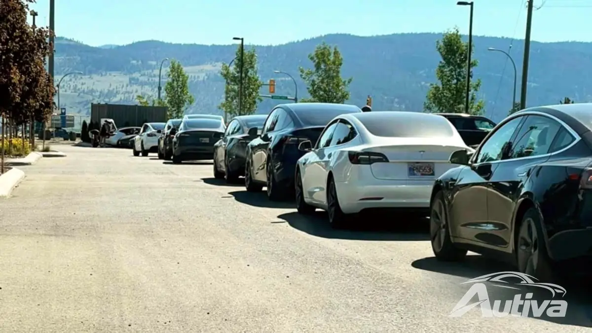 Teslas mutiger Schritt – die Einführung von Staugebühren an überfüllten Superchargern Teslas mutiger Schritt – die Einführung von Staugebühren an überfüllten Superchargern