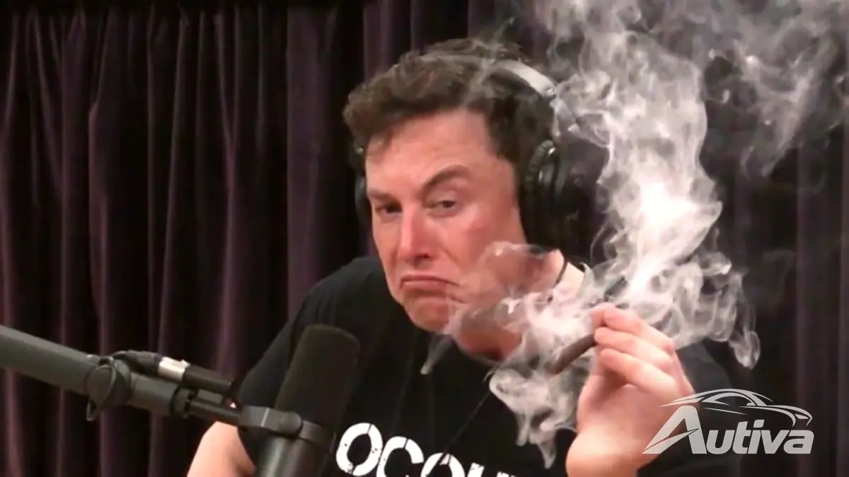 新しい研究はイーロン・マスクの政治と大幅な売上減少を結びつける