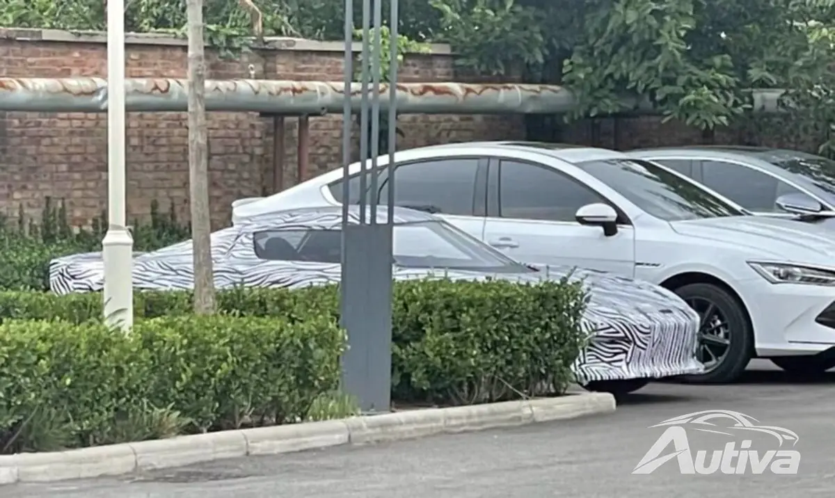 ربما تعمل شركة BYD على سيارة كهربائية فائقة الجودة ربما تعمل شركة BYD على سيارة كهربائية فائقة الجودة