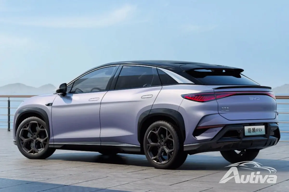 De BYD-zeeleeuw 07