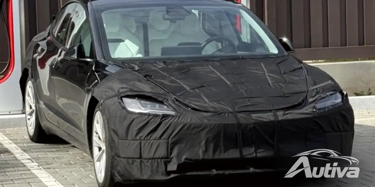 Tesla Model 3 Performance Refresh, 새로운 버킷시트 발견