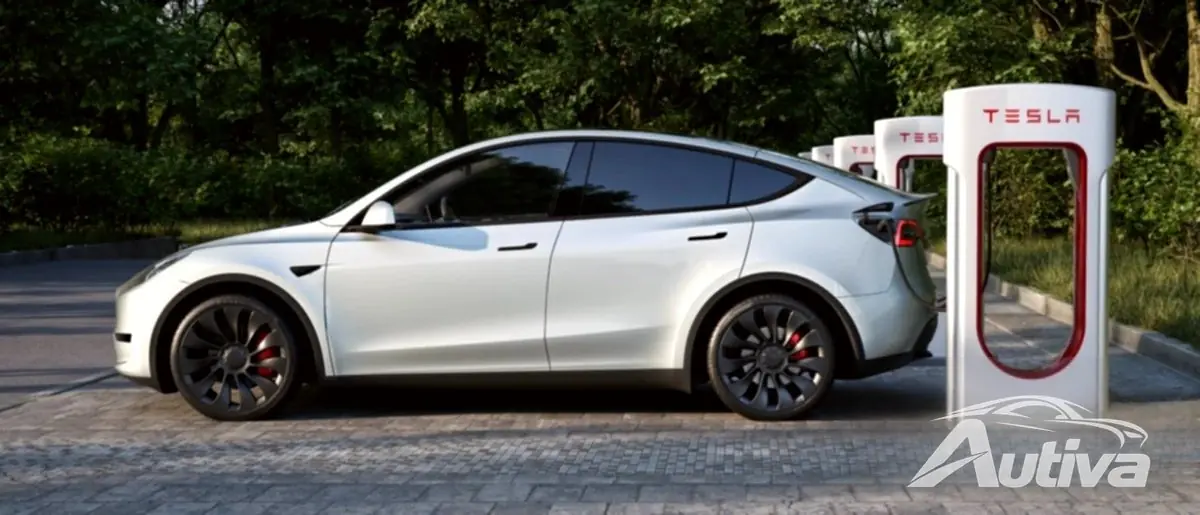 Tesla'nın satışlarının çoğundan Model Y sorumluydu