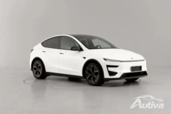 Chinese Tesla Model Y Performance