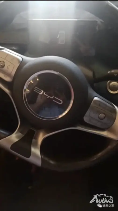 BYD 갈매기