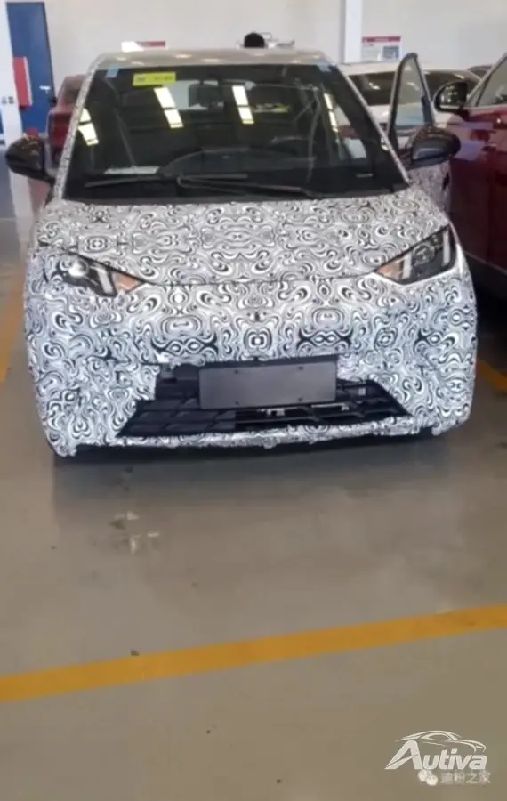 BYD 갈매기