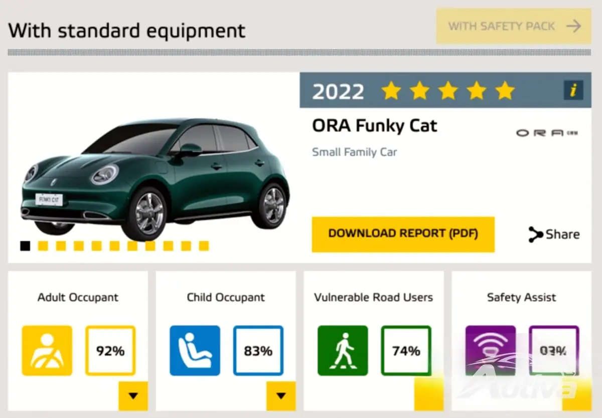 Ora Funky Cat-testscores
